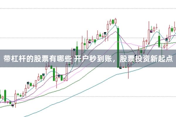 带杠杆的股票有哪些 开户秒到账，股票投资新起点