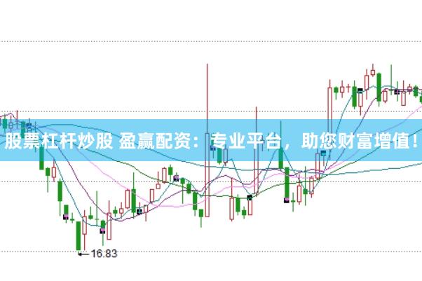股票杠杆炒股 盈赢配资：专业平台，助您财富增值！