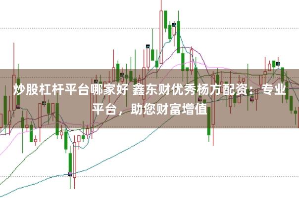 炒股杠杆平台哪家好 鑫东财优秀杨方配资：专业平台，助您财富增值