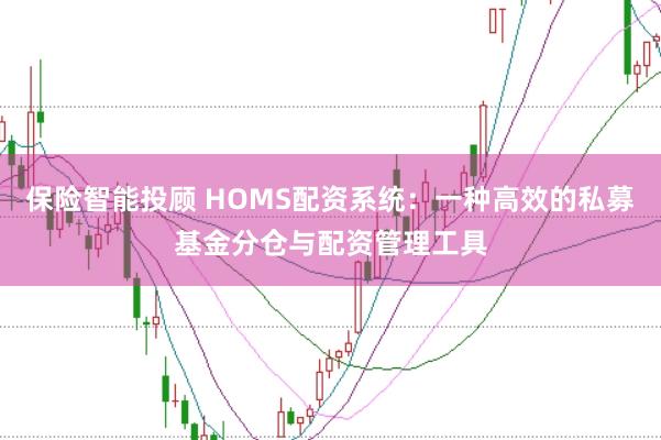 保险智能投顾 HOMS配资系统：一种高效的私募基金分仓与配资管理工具