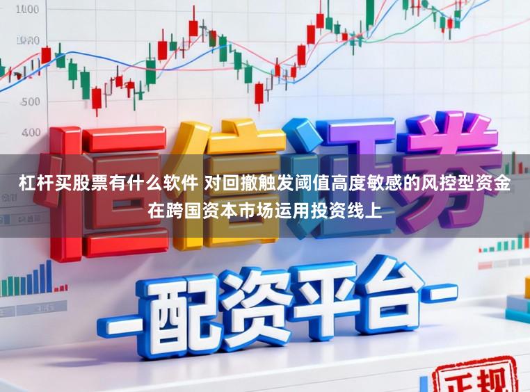 杠杆买股票有什么软件 对回撤触发阈值高度敏感的风控型资金在跨国资本市场运用投资线上