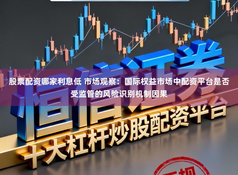 股票配资哪家利息低 市场观察：国际权益市场中配资平台是否受监管的风险识别机制因果