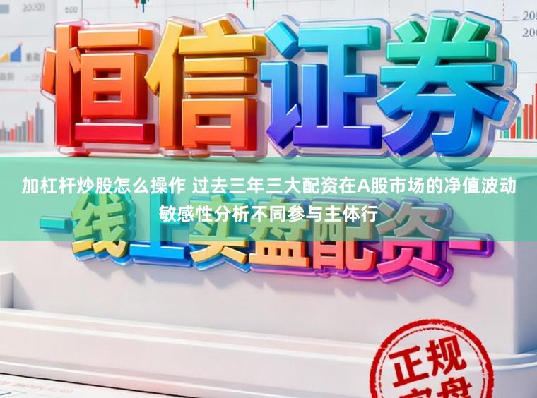 加杠杆炒股怎么操作 过去三年三大配资在A股市场的净值波动敏感性分析不同参与主体行